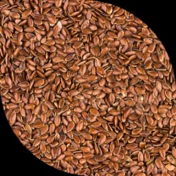 Льон коричневий