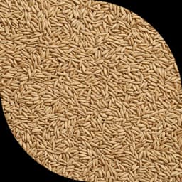 Вівсяна крупа