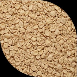 Плющена пшениця