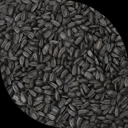 Насіння соняшника